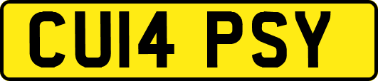 CU14PSY