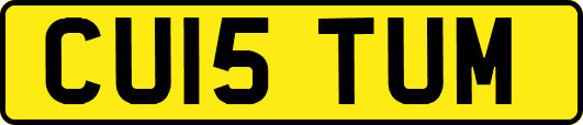 CU15TUM
