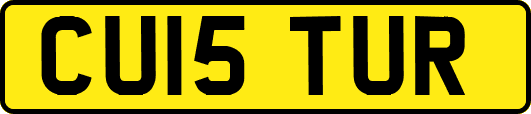 CU15TUR