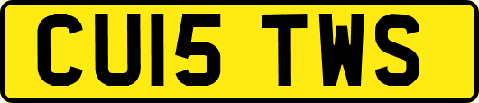 CU15TWS
