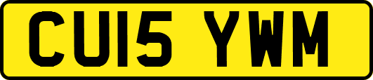 CU15YWM