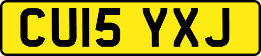 CU15YXJ