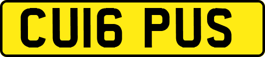 CU16PUS
