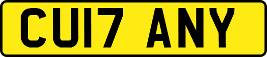 CU17ANY