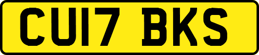 CU17BKS