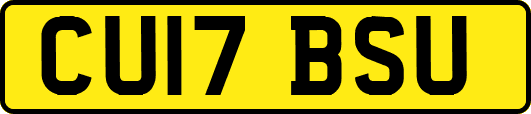 CU17BSU
