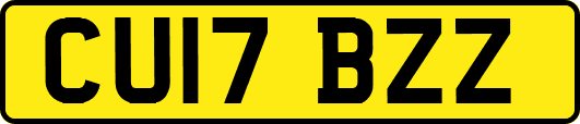 CU17BZZ