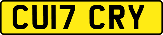 CU17CRY