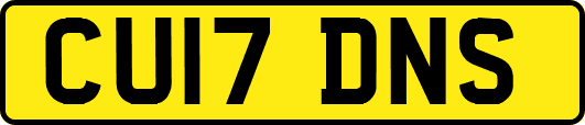 CU17DNS