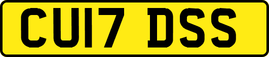 CU17DSS