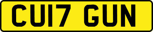 CU17GUN