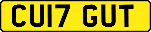 CU17GUT