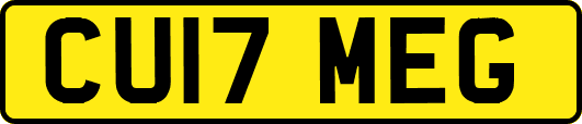 CU17MEG