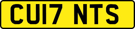 CU17NTS