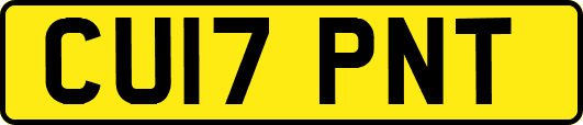 CU17PNT