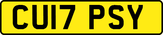 CU17PSY