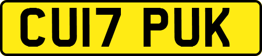 CU17PUK