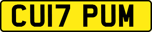 CU17PUM