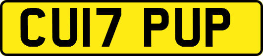 CU17PUP