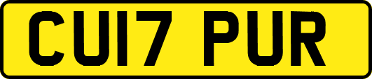 CU17PUR