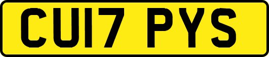 CU17PYS