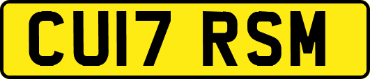 CU17RSM