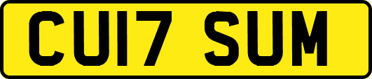 CU17SUM