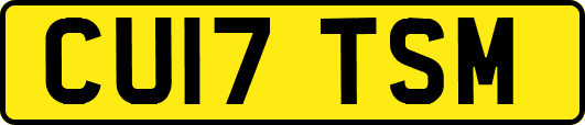 CU17TSM