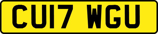 CU17WGU
