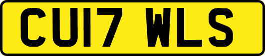 CU17WLS