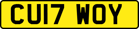 CU17WOY