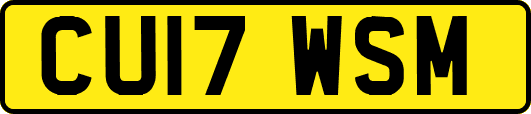 CU17WSM