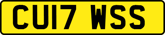 CU17WSS
