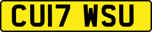 CU17WSU