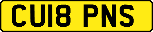 CU18PNS