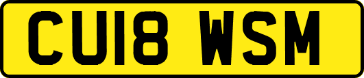 CU18WSM