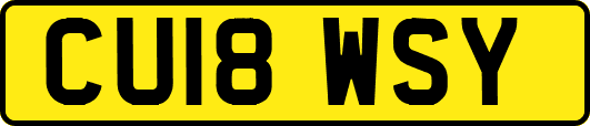 CU18WSY