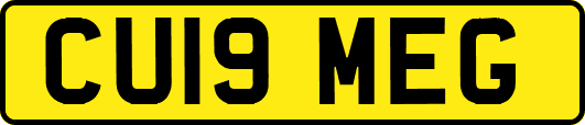 CU19MEG