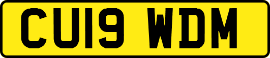 CU19WDM