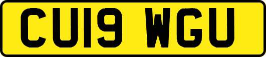 CU19WGU