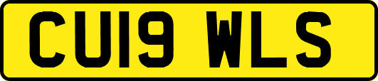 CU19WLS