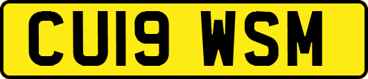 CU19WSM