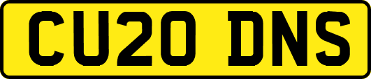 CU20DNS