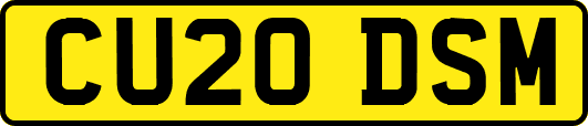 CU20DSM