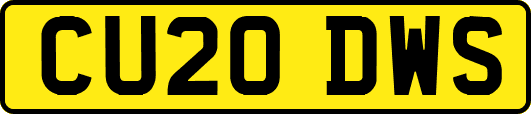 CU20DWS