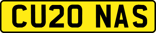 CU20NAS