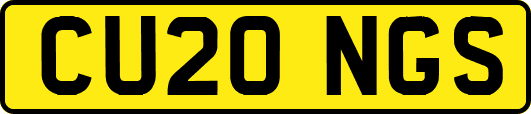 CU20NGS