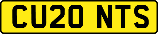 CU20NTS