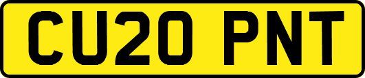 CU20PNT