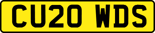 CU20WDS